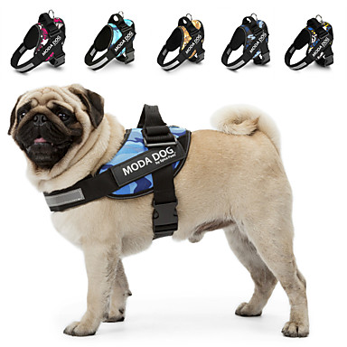 dog kingdom harness