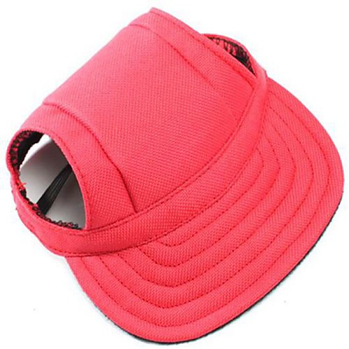 Wearing baseball hats 2017 Wearing baseball hats 2017